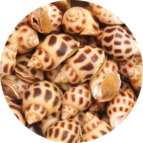 Свежие морепродукты в Нячанге. Рестораны где едят местные 13