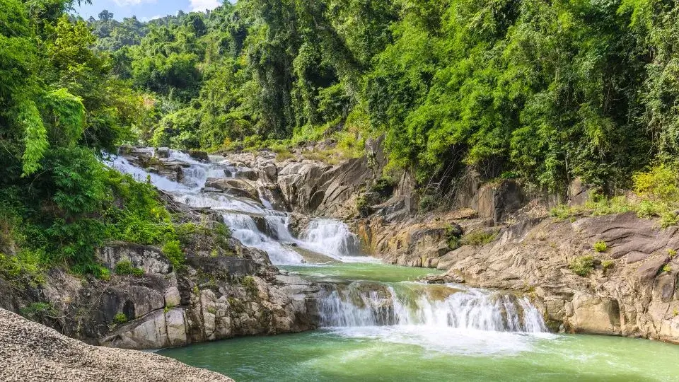 экскурсия в парк янгбей