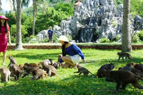 острова обезьян и орхидей в Нячанге