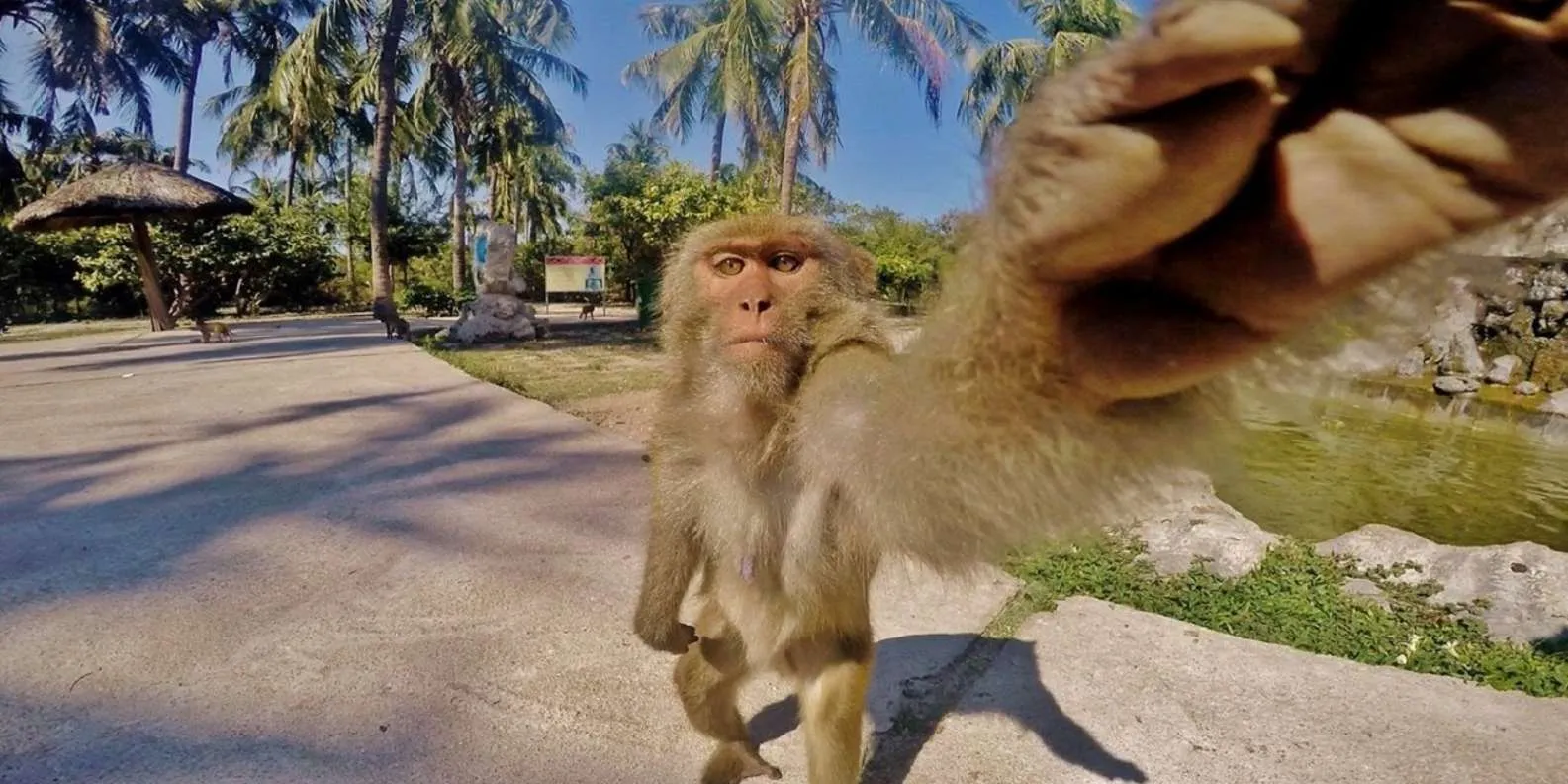 экскурсия на северные острова из нячанга