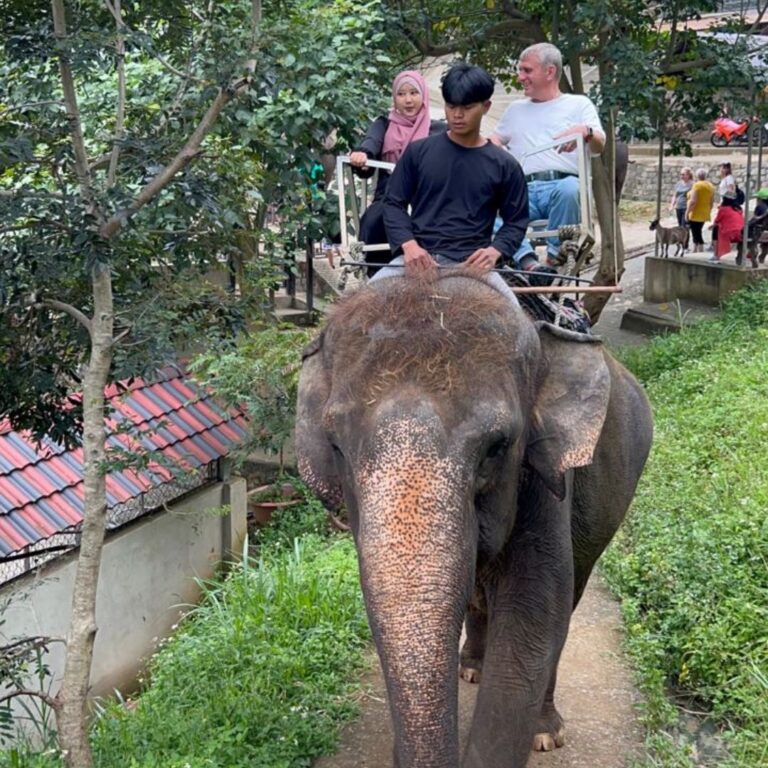 Ферма слонов и люваков