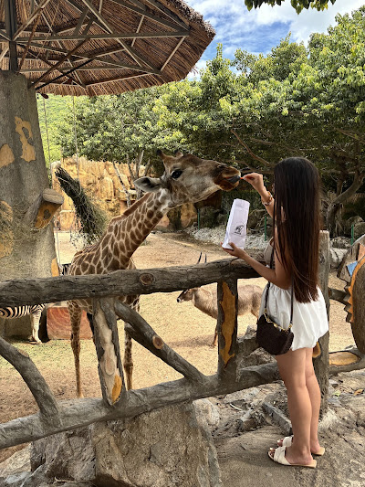 Винперл день безлимитных эмоций